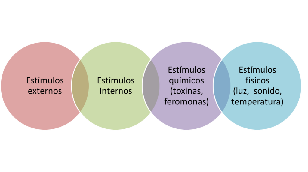 Ciencias En El Bosque Julio 2013