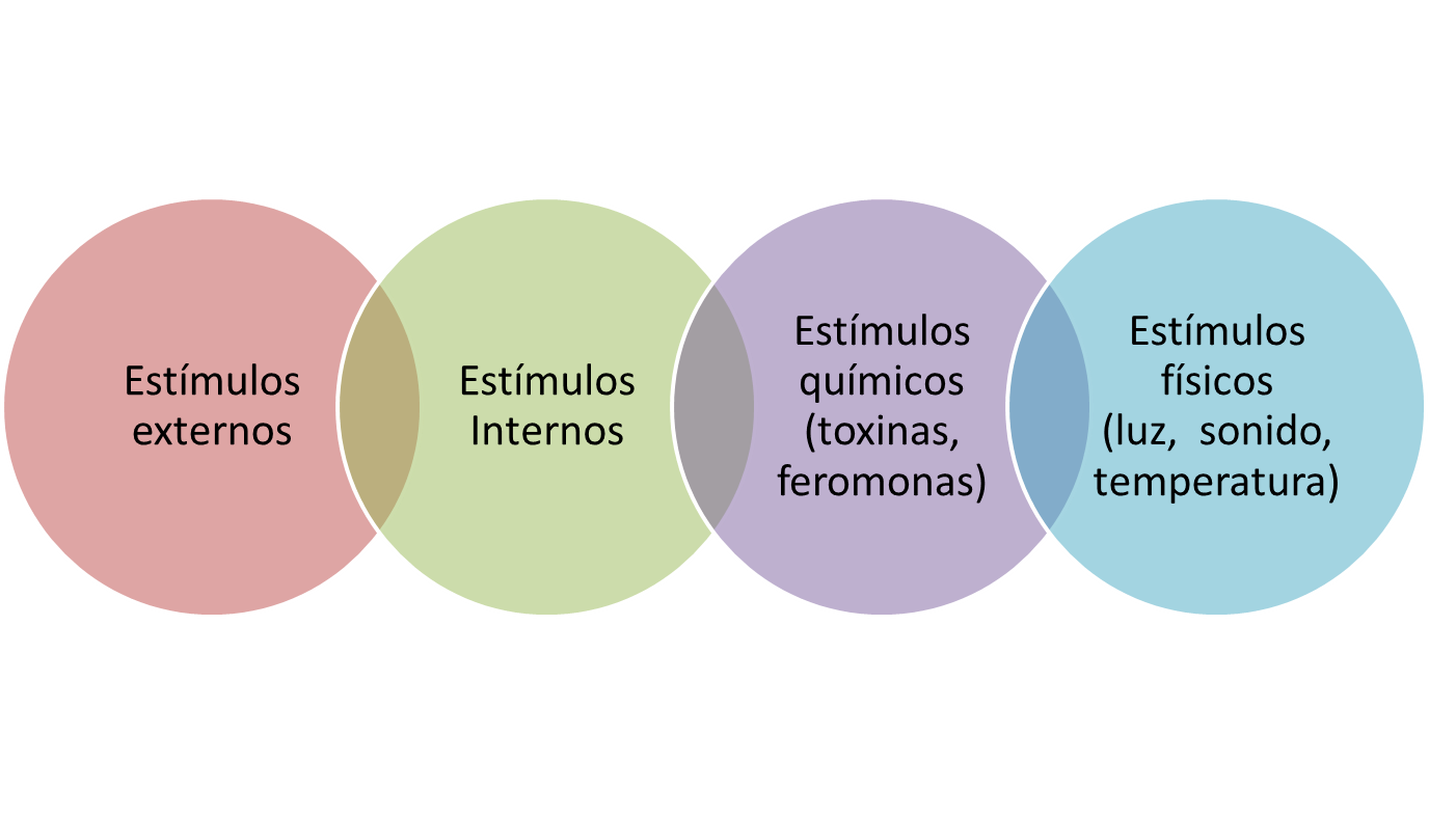 Ciencias En El Bosque Julio 2013