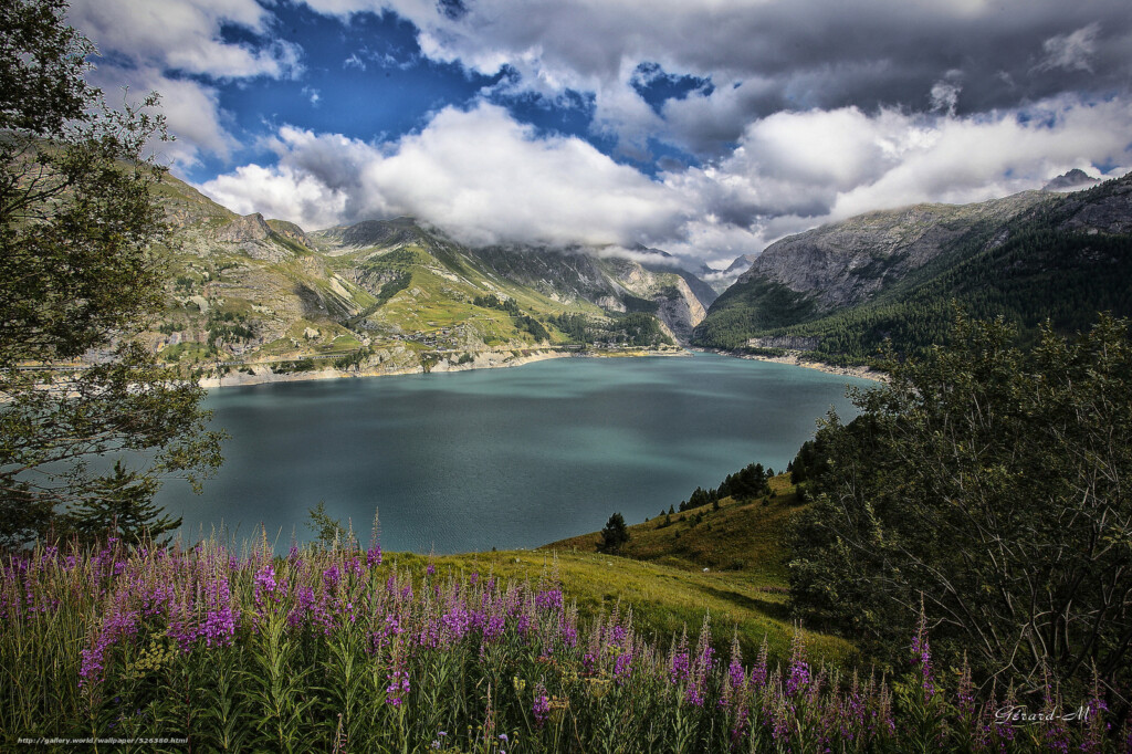 Descargar Gratis Flores Lago Montaas Las Nubes Fondos De Escritorio 