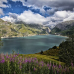 Descargar Gratis Flores Lago Montaas Las Nubes Fondos De Escritorio