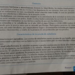 Necesito Ayuda Para Favor Necesito Sacar Ideas Principales De Esto