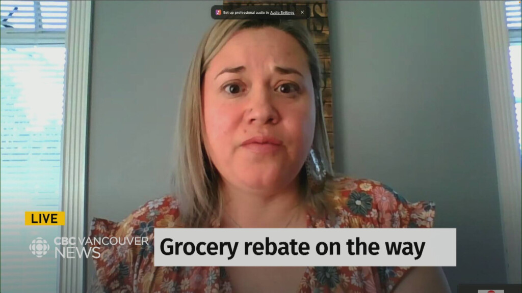 New Federal grocery Rebate Insufficient Says Parent CBC ca