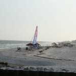 Seaweed lined Beaches Push Gulf Shores Orange Beach To Bury The Issue