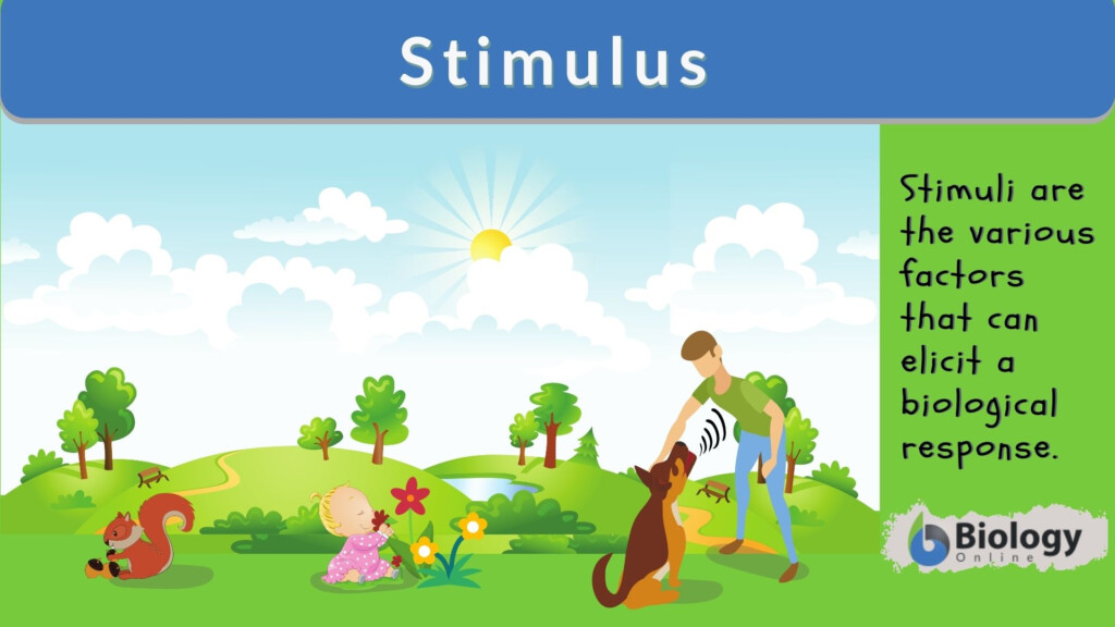 Stimulus Definition And Examples Biology Online Dictionary 2023 