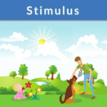 Stimulus Definition And Examples Biology Online Dictionary 2023